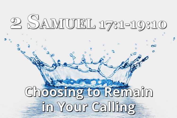 2 Samuel 17:1-19:10