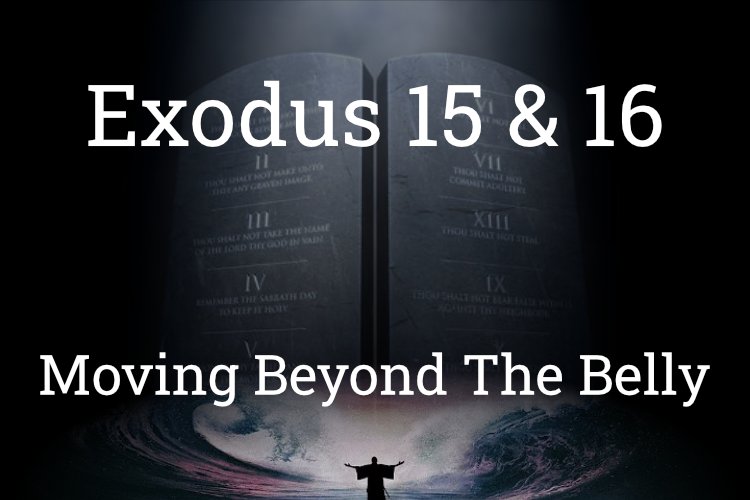 Exodus 15-16
