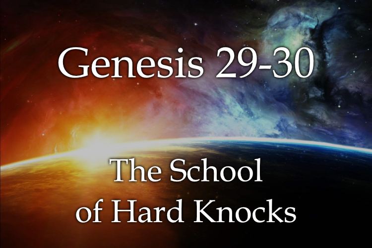 Genesis 29-30