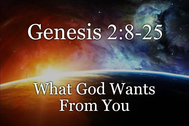 Genesis 2:8-25
