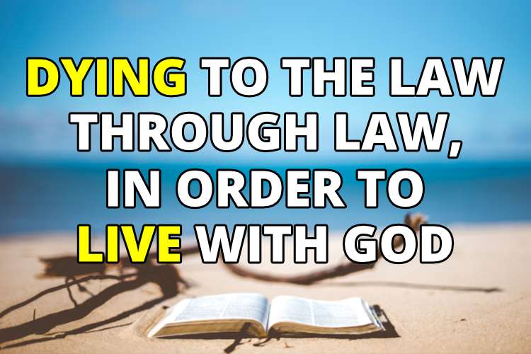 Dying to the law through the law in order to live with God
