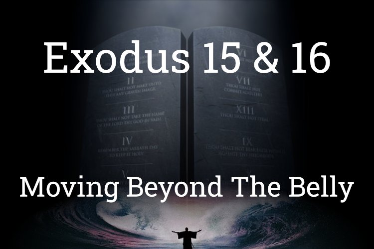 Exodus 15-16