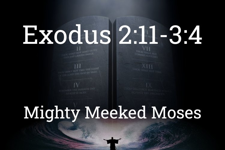 Exodus 2:11-3:4
