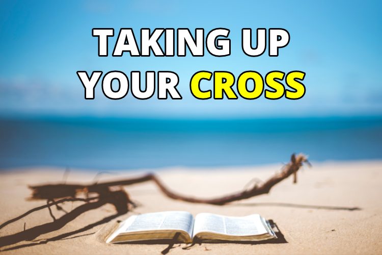 Matthew 16:24-25