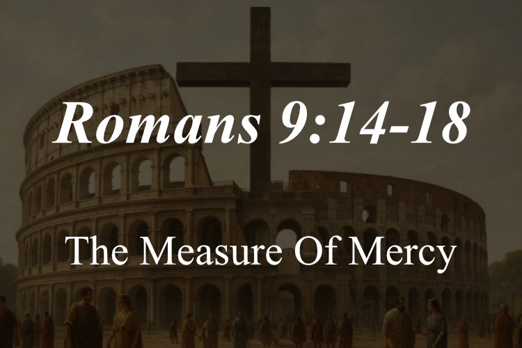 Romans 9:14-18